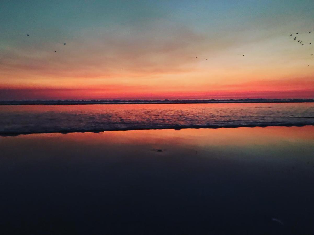 Rock'S Beach Spot Suit 卡帕里卡海岸 外观 照片